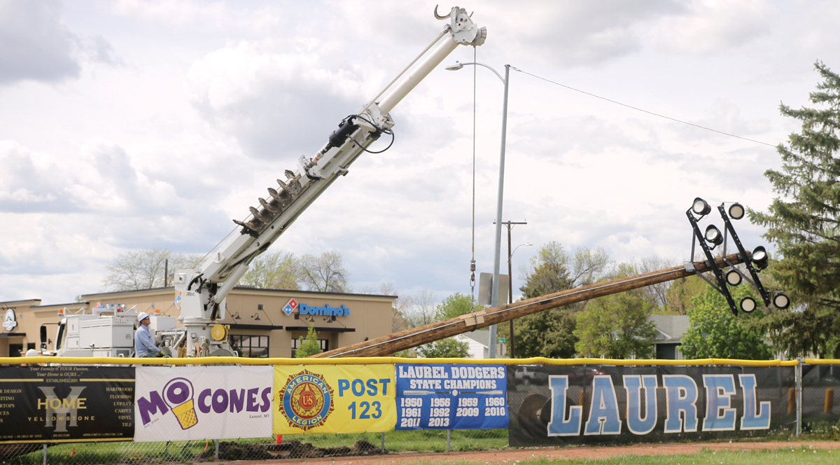 Businesses Light Up Laurel Dodgers