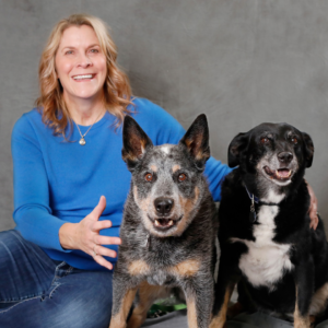Billings Animal Family Hospital Builds New Facility