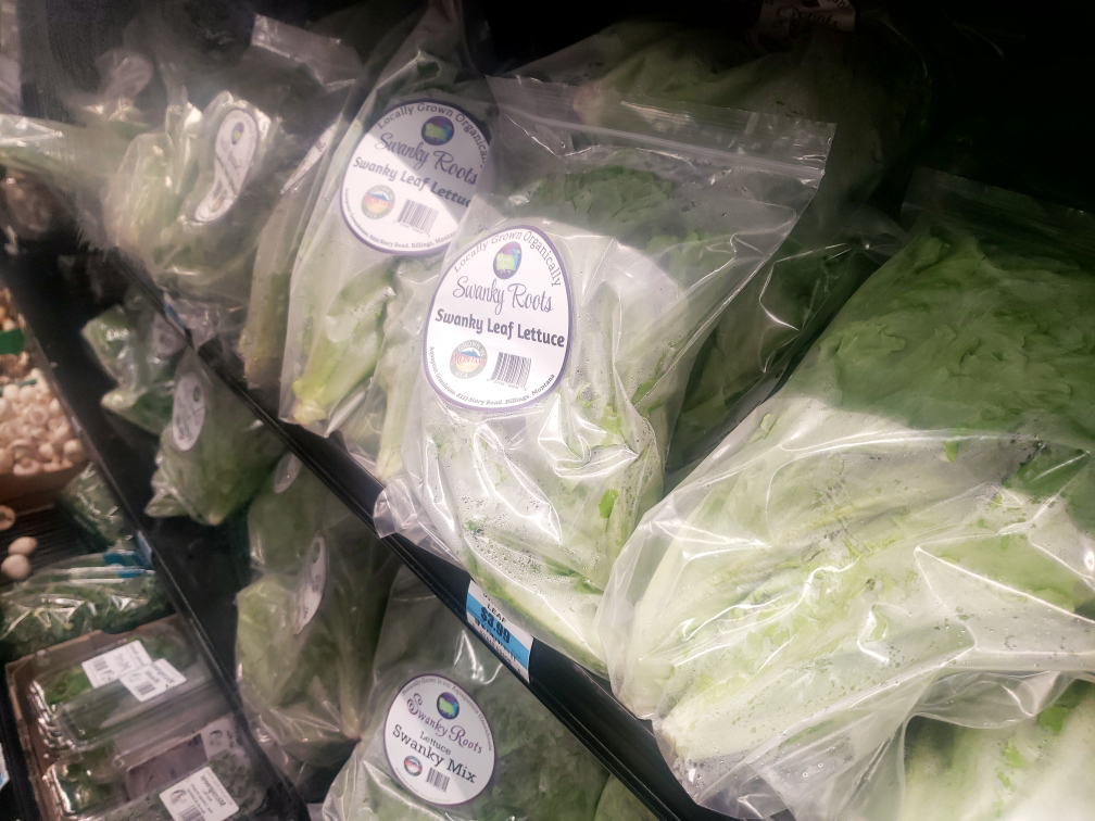 Aquaponics in Action —Swanky Roots